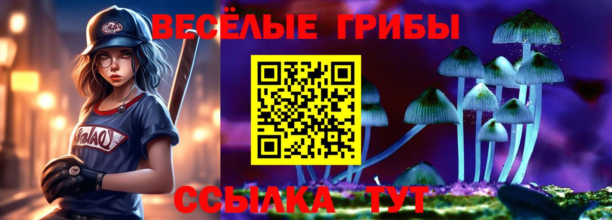 Псилоцибиновые грибы Magic Shrooms  Вход с VPN  Кропоткин  Псилоцибиновые грибы Magic Shrooms 